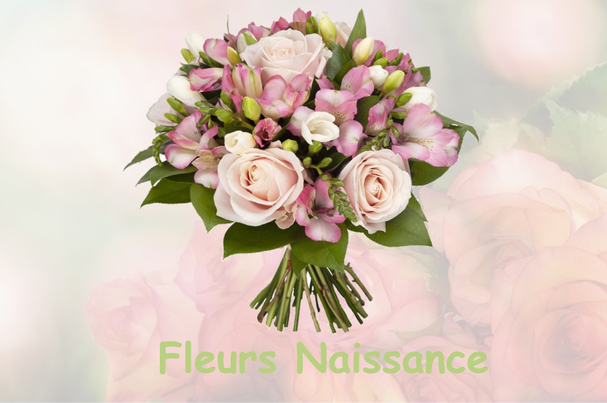 fleurs naissance SAINT-JUST-CHALEYSSIN